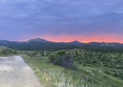 Black Hills Road Trip Guide: Scenic Drives, Parks & Small-Town Charm